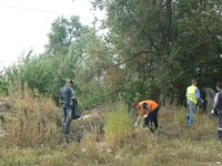 В Саратове с зеленой зоны в поселке Солнечный вывезли 32 куб.м отходов