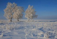  Качество атмосферного воздуха и радиационная обстановка на территории Саратовской области в пределах нормы
