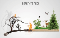 Стартовала Всероссийская информационная кампании против поджогов сухой травы «Береги лес»