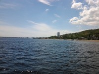 Информационное сообщение об уровне воды в Волге