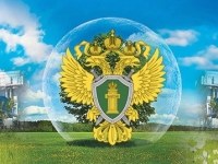 Портал правовой статистики или состояние преступности