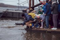 Саратовцев приглашают принять участие в экопроекте «Водорослям крышка»