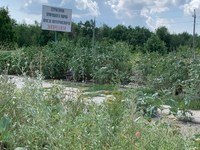 Минприроды совместно с Госавтоинспекцией провели рейд по Кумысной поляне