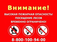 Напоминаем жителям и гостям области – в лесах действует ограничение пребывания граждан 