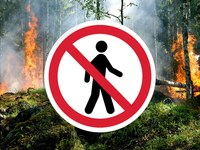 В лесах области продолжается усиленное патрулирование с сотрудниками полиции