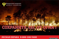 Минприроды напоминает о режиме ограничения пребывания граждан в лесах