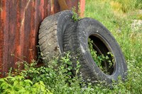 Саратовцы выплатили штрафы за выброшенные отработанные шины