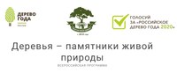 Продолжается конкурс Российское дерево года 2020!