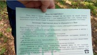 Саратовцы за нарушение противопожарного режима в лесах заплатят 355 тысяч рублей