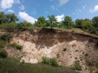 Новый памятник природы в Лысых Горах займет 542 гектара территории