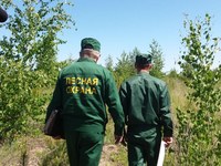 Патрулирование лесов в выходные и праздничные дни традиционно усилено