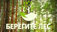 В Перелюбском районе произошел лесной пожар