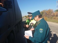 Сотрудниками минприроды области и ГУ МВД России по Саратовской области пресечены незаконные рубки в лесах