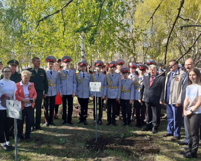 В Вольске высадили «Сад памяти» в честь летчика Виктора Талалихина