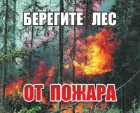 В лесах Саратовской области вводится ограничение пребывания граждан