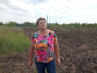 В Балакове засеют семенами дуба и сосны восстанавливаемый лесопитомник