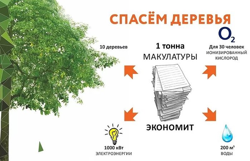 Саратовцев приглашают сдать макулатуру и спасти дерево