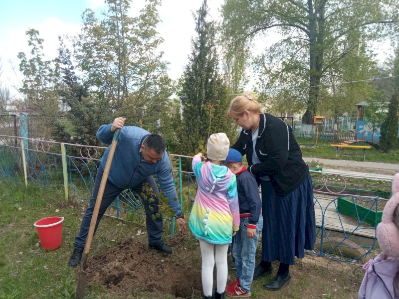 В Энгельсе дошколята выступили на сцене и посадили деревья