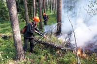 В Вольском районе на тушении пожара помогали местные егеря