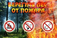 Из-за неосторожного обращения с огнем горит лес в двух районах Саратовской области