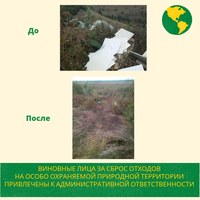 Двое граждан оштрафованы за вывоз мусора в природный парк «Кумысная поляна»