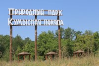В Саратове Кумысную поляну в течение двух дней обработают от мышей