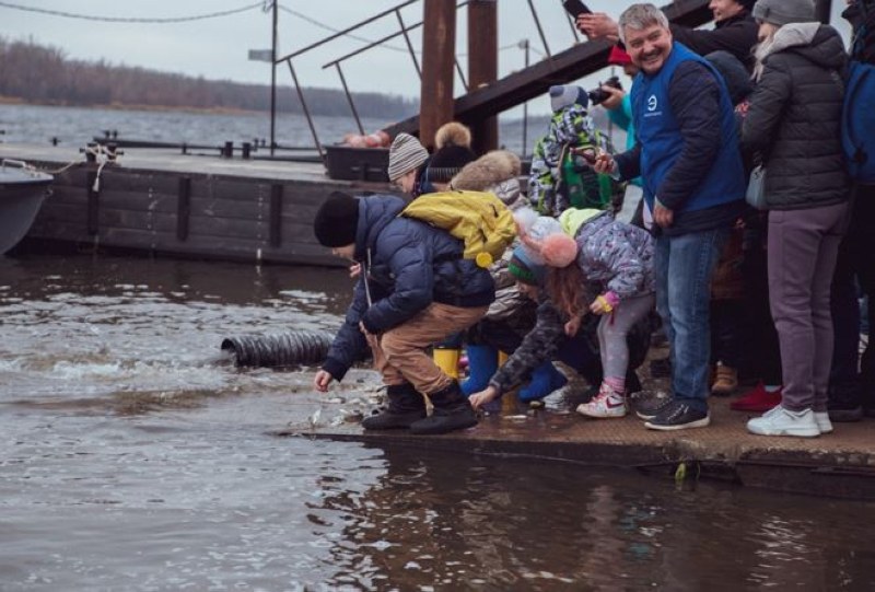 Саратовцев приглашают принять участие в экопроекте «Водорослям крышка»