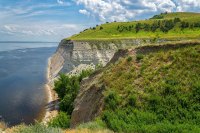 Cценарии экологических занятий