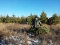 В предновогодние дни усилено патрулирование в лесах области