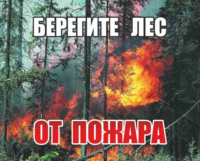 В Энгельсском лесничестве горел лес на площади 0,5 га