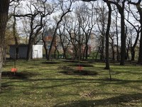 В рамках всероссийского субботника природные территории Саратова приведены в порядок 