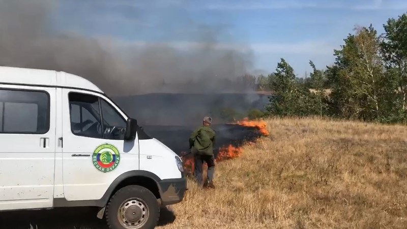 По вине неизвестных загорелся лес в Марксовском районе