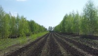 Завтра состоится брифинг министра природных ресурсов и экологии области Дмитрия Соколова