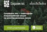 В Базарном Карабулаке во время Центральной акции «Сохраним лес» высадят более 2 тысяч сеянцев сосны