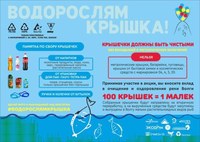 Саратовцев приглашают выпустить мальков в Волгу в рамках проекта «Водорослям крышка!»