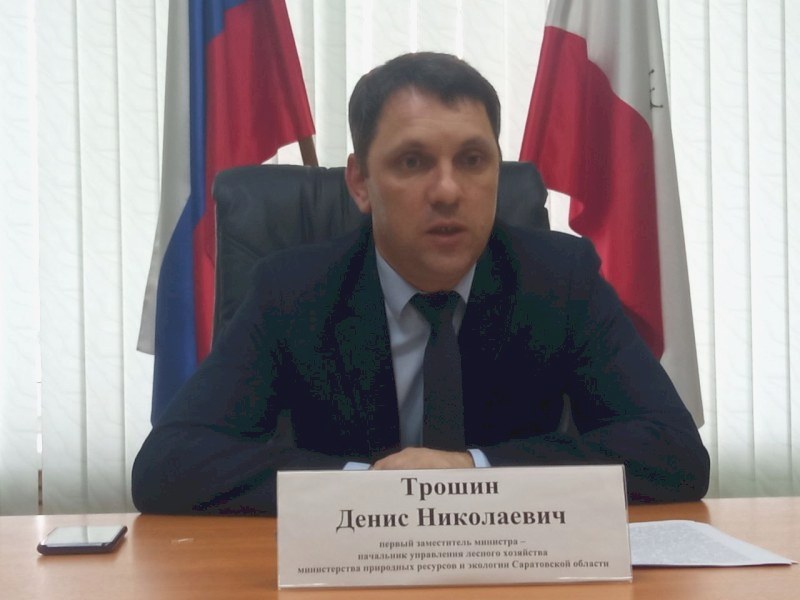 В 2023 году площадь лесов в Саратовской области увеличат до 4000 га 