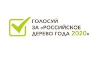 Стартовала последняя неделя голосования конкурса «Российское дерево года – 2020»